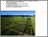 [thumbnail of levy-etal-2017-agrarforschung-schweiz_0708_2319.pdf]