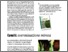 [thumbnail of Bioattualità_1_2017_HU_Dierauer.pdf]