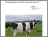 [thumbnail of BOEL_animal health of ruminants_2012.pdf]