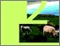 [thumbnail of French summary of the "The World of Organic Agriculture 2013" by Agence Bio]