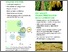 [thumbnail of Organic Research A1 board at Cereals 2013.pdf]