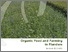 [thumbnail of Organic research 2011_2012_web.pdf]
