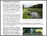 [thumbnail of Zubiarre  Pedersen 2016_Linking water treatment practices and fish welfare.pdf]