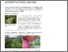 [thumbnail of EcoOrchard - Innovative design and management to boost functional biodiversity of organic orchards.pdf]