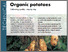 [thumbnail of 2023-01-09 14_17_51-Organic potatoes. Cultivating quality – step by step.png]