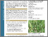 [thumbnail of Screenshot 2025-03-12 at 9.24.59 AM.png]