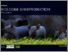 [thumbnail of Intro til økologisk svineproduktion AGK Fra pEcosystem til pigAcademy PDF.pdf]