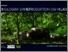 [thumbnail of Økologisk svineproduktion og Miljøet Fra pEcosystem til PigAcademy PDF.pdf]