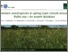[thumbnail of Hofmeijer_NJF_ 31415 Problematic weed species in spring sown cereals around the Baltic Sea - an expert database..pdf]