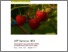 [thumbnail of 29_NJF seminar 493 book of abstractsLS.pdf]