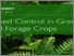 [thumbnail of Weed control in grass and forage image.png]