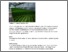 [thumbnail of Nilsen 2016 Dyrkningveiledning økologisk krydder i veksthus.pdf]