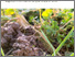 [thumbnail of 1319-protection-des-sols-et-rotation-des-cultures.pdf]