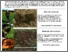 [thumbnail of Poster soil structure smaller [Kompatibilitetsmodus].pdf]