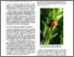 [thumbnail of Bioactualites_8_2017_L.Pfiffner.pdf]
