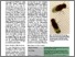 [thumbnail of 2015_Drosophila-ökumGärtnerrundbrief.pdf]
