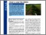 [thumbnail of carlesi-barberi-2017-weed-indicators-spanish.pdf]