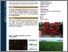 [thumbnail of SEMINBIO®: Innovative seeder for weed control in cereals]