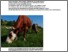 [thumbnail of Lebensmitteleffizienz_Agrarforschung_Steinwidderet al_D.pdf]