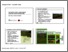 [thumbnail of 2 Zellweger_Stoeckli - Biodiversitaet messen.pdf]