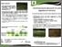 [thumbnail of Guidelines Resolve soil restoration techniques SPANISH.pdf]