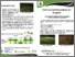 [thumbnail of Guidelines Resolve soil restoration techniques_SLOVENIAN.pdf]