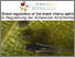 [thumbnail of 2022-06-07 08_10_54-Bio-Pflanzenschutz_ Direkte Regulierung der Schwarzen Kirschenblattlaus (Myzus c.png]