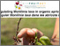 [thumbnail of 2022-06-06 15_03_57-Réguler Monilinia laxa dans les abricots bio - YouTube.png]