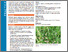[thumbnail of 2022-09-12 13_09_31-Diverse fertility building leys in arable rotations.png]