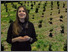 [thumbnail of 2023-04-14 15_45_56-Fruit growing_ Control of harmful insects with vibration (biotremology) - YouTub.png]