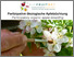 [thumbnail of 2023-04-21 16_57_33-Participatory apple breeding - breeding new varieties on organic fruit farms - Y.png]