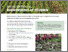 [thumbnail of 2023-09-28 13_03_09-Organic-Farm-Knowledge-Tool-description-form.docx - Word.png]