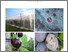 [thumbnail of 2024-11-21 18_26_18-Plan d’actions contre la drosophila suzukii _ fruits à noyaux - Plan d’actions_d.png]