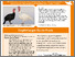 [thumbnail of Praxismerkblatt]