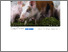 [thumbnail of YouTube video om frisk græs som grovfoder til grise.pdf]