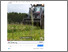 [thumbnail of Facebook-opslag om frisk græs som grovfoder til grise.pdf]
