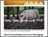 [thumbnail of forbrugerrettet-artikel-om-outfit-resultater.pdf]