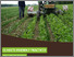 [thumbnail of SOLMACC-practitioner-manual_final-ENG.pdf]