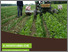 [thumbnail of SOLMACC-practitioner-manual_final-DE.pdf]