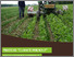 [thumbnail of SOLMACC-practitioner-manual_final-IT.pdf]