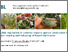 [thumbnail of amsler-etal-2024-Ecofruit2024-Presentation.pdf]