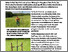 [thumbnail of moosmann-2024-bioaktellch_Agroforst-verbindet-Wald-und-Offenland.pdf]