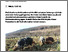 [thumbnail of jenni-2024-bioaktuellch_Rosa-ist-nicht-alles-neue-alte-Schweinerassen.pdf]