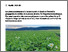 [thumbnail of gelencser-2024-bioatualitesch_Gerer-les-attaques-de-mildiou-dans-les-pommes-de-terre.pdf]