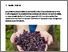 [thumbnail of werne-2024-bioactualitesch_Le-marc-de-vin-rouge-peut-il-aider-a-combattre-les-vers.pdf]