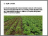 [thumbnail of gelencser-2024-bioactualitesch_Stabiliser-les-rendements-des-pommes-de-terre.pdf]