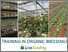[thumbnail of Unit 1.1: Public/Institutional seedbanks: PGRs collection, conservation and exchange]