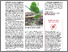 [thumbnail of Bioactualites_01_2025_messmer_klaiss_semences_bio.pdf]