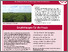 [thumbnail of Praxismerkblatt]