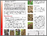[thumbnail of Poster_Tecnico_AgroForageTree_2023_PT.pdf]